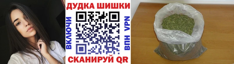 Купить закладку Вилючинск Alpha-PVP  МЕФ  Гашиш  Конопля 