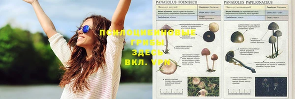 кокаин Алексеевка