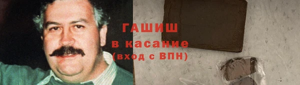 мет Алексин