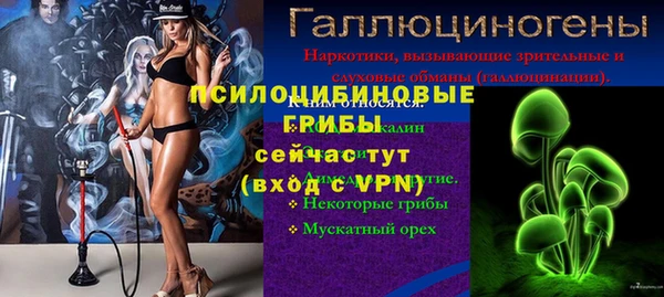 мет Алексин