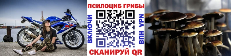 Псилоцибиновые грибы GOLDEN TEACHER  KRAKEN   Вилючинск 